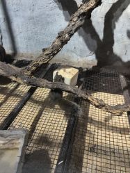 -Zoolung Zoolung动物主题公园(海信广场店)