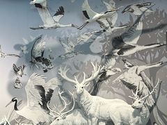 -中国湿地博物馆