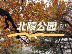 -北陵公园