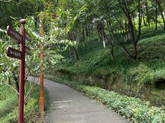 -重庆彩云湖湿地公园