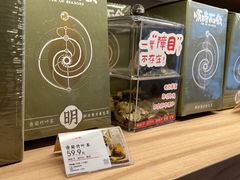 -长春堂顺时而饮(前门店)