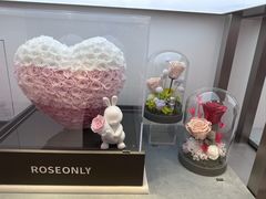 -ROSEONLY诺誓(广州K11店)