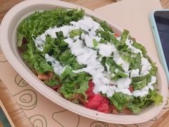 -油梨树AVOCADO TREE(顺义新国展店)