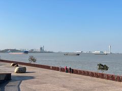 -上海滨江森林公园