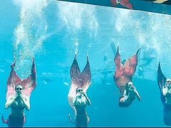 -瑞德姆美人鱼海底演艺主题餐厅(亚龙湾店)