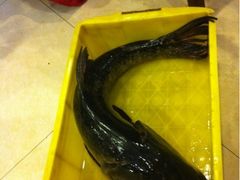 -旭龙鱼头王(航华店)