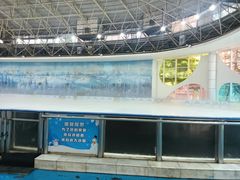 -世界之窗阿尔卑斯冰雪世界