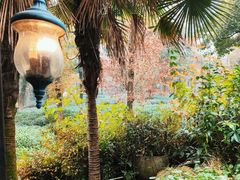 -野蔓果·山野菜(西湖景区·龙井茶田店)