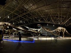 -世界恐龙谷景区