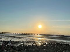 -宝安西湾红树林湿地公园