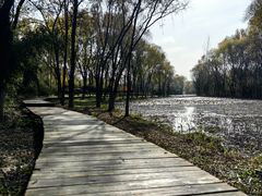 -西安浐灞国家湿地公园