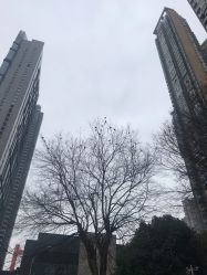 -ANNIL安奈尔·NASX超透白·科技抗衰·问题性肌肤管理