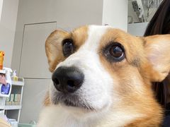 -怪兽屋·羊驼·猫咖·狗咖(俊华广场店)