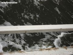 -海河外滩公园