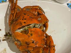 -强记海鲜·大排档(蛇口新街店)
