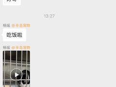 -半岛宠物医院24小时(科华中路店)
