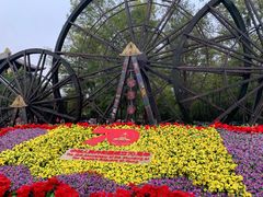 -呀路古热带植物园