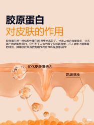点击看大图 -玛莲朵·海菲秀冰珀科