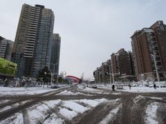 -南京奥林匹克体育中心-体育馆