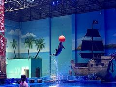 -华夏文旅海洋公园