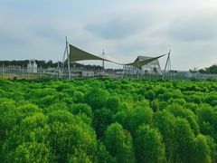 -天津东丽湖风景区