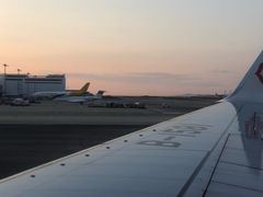 -关西国际机场直营免税店