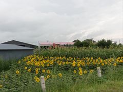 -库伦旗银沙湾旅游景区