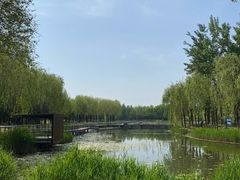 -中关村生命科学园