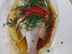 -新梅园不夜粥(龙华店)