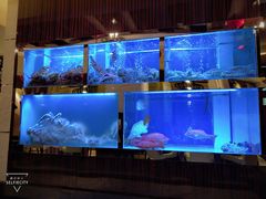 -金悦轩海鲜酒家(银河店)