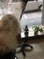 -章光101防脱养发荟