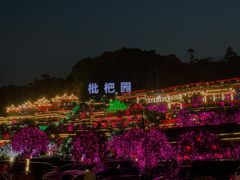 -枇杷园食为鲜火锅(南山店)