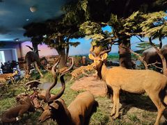 -国家自然博物馆