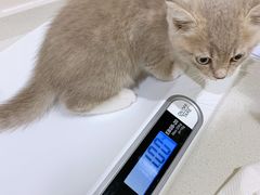 -艾贝尔宠物医院·24H转诊中心·肿瘤猫专科(江宁双龙店)