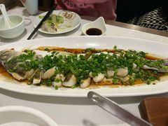 -船歌·鱼水饺青岛菜(合肥路永旺店)
