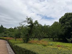 -同里国家湿地公园