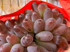 -马陆小张葡萄园农家乐