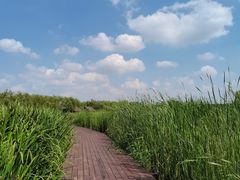 -永定河休闲森林公园