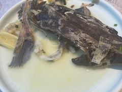 -滇色蒸汽石锅鱼(京华城店)