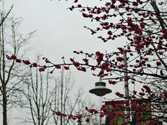 -东方绿舟景区
