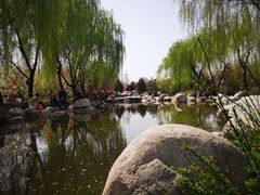 -西安青龙寺遗址景区