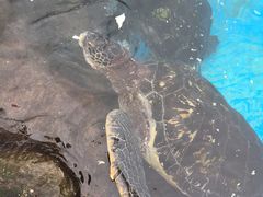 -海合安成都极地海洋公园