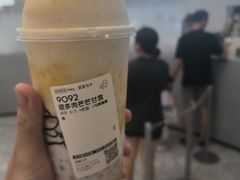多肉芒芒甘露-喜茶(迪士尼小镇DP店)