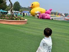 -秦皇岛乐岛海洋王国