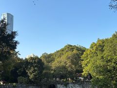 -柳侯公园