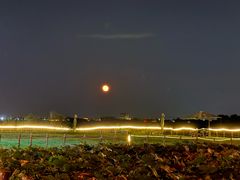 -七的湖·晚芳亭·阳澄湖农家菜·大闸蟹(莲花岛店)