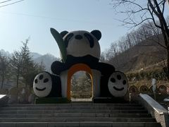 -栾川竹海野生动物园