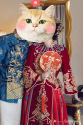 -拉瑞娜LaReine婚纱礼服高级定制