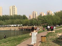 -丁香湖公园