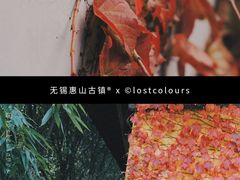 -惠山古镇·寄畅园